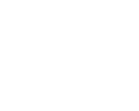 University of New Haven logo