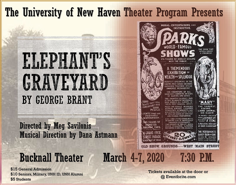 Elephant's Graveyard