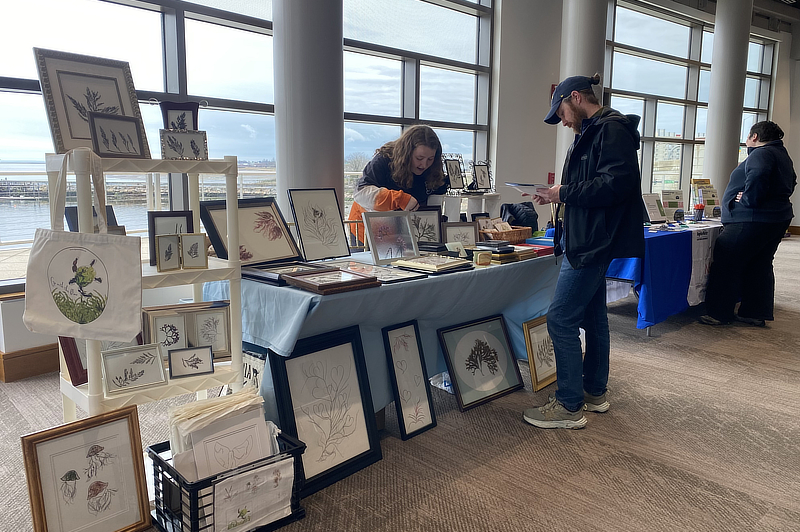 Sustainability fair