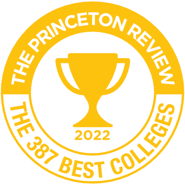 Princeton Review Badge