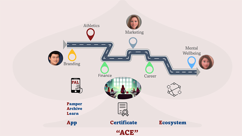 The concept map for the project.