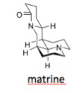 Matrine