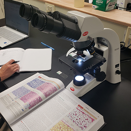 Beatrice Glaviano’s workspace in the lab.