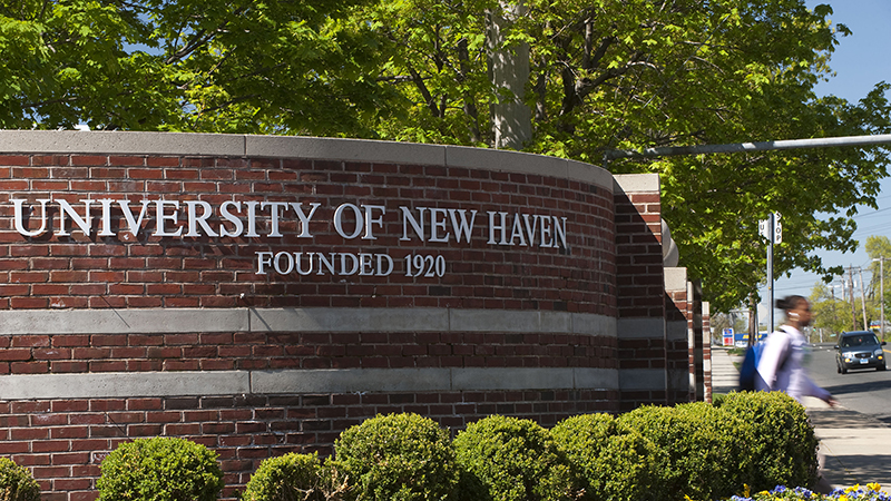 University of New Haven main campus