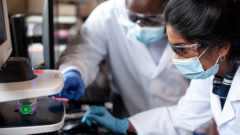 Kagya Amoako, Ph.D. (back) collaborates with a student in the laboratory.