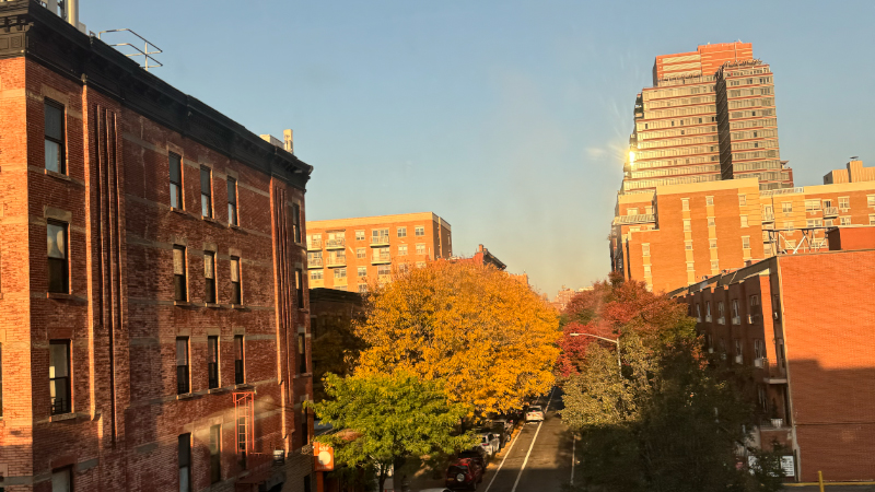 New York in the fall, where every street feels like a fresh start