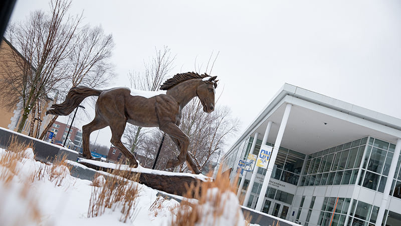 Snowy University of New Haven campus.